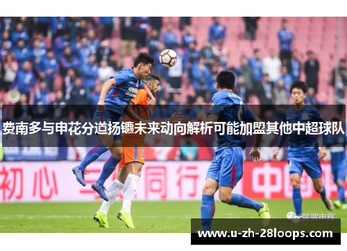 费南多与申花分道扬镳未来动向解析可能加盟其他中超球队 费南多与申花分道扬镳未来动向解析可能加盟其他中超球队