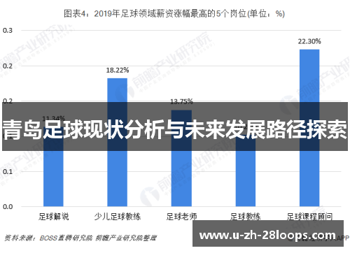 青岛足球现状分析与未来发展路径探索
