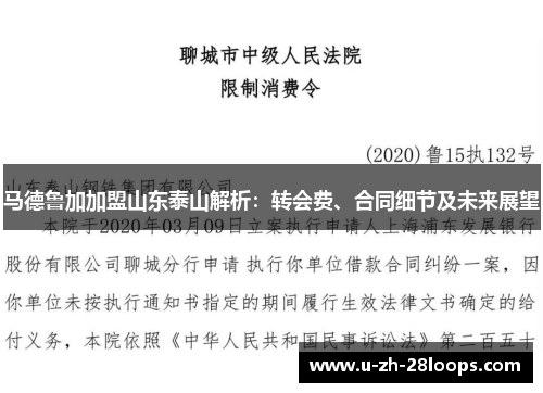 马德鲁加加盟山东泰山解析：转会费、合同细节及未来展望
